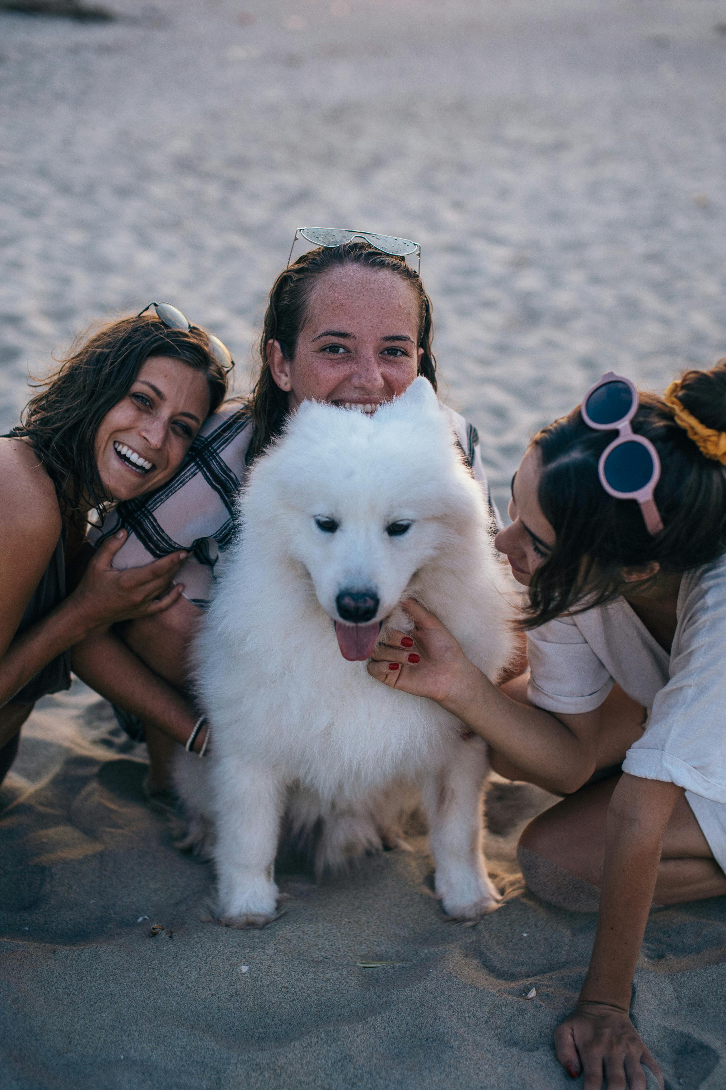 Friendly dog
